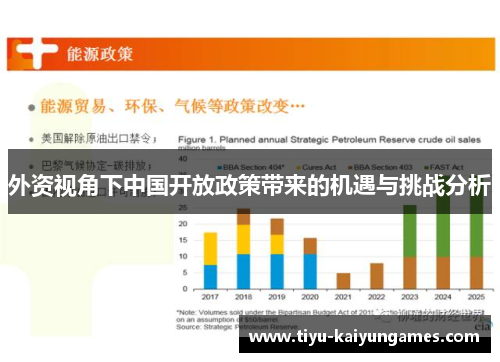 外资视角下中国开放政策带来的机遇与挑战分析