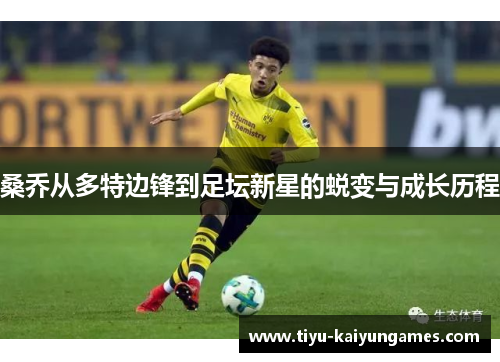 桑乔从多特边锋到足坛新星的蜕变与成长历程