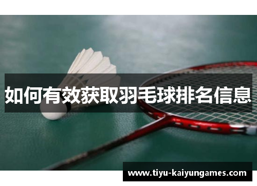 如何有效获取羽毛球排名信息