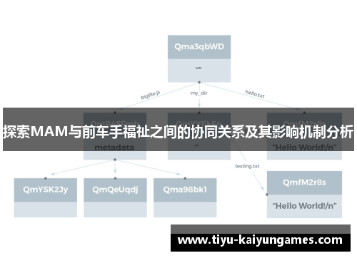 探索MAM与前车手福祉之间的协同关系及其影响机制分析