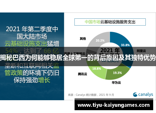 揭秘巴西为何能够稳居全球第一的背后原因及其独特优势