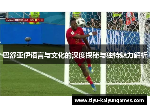 巴舒亚伊语言与文化的深度探秘与独特魅力解析