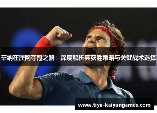 辛纳在澳网夺冠之路：深度解析其获胜策略与关键战术选择