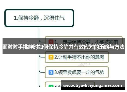 面对对手挑衅时如何保持冷静并有效应对的策略与方法