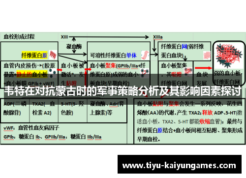 韦特在对抗蒙古时的军事策略分析及其影响因素探讨